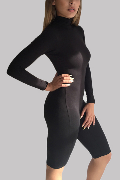 turtleneck long sleeves